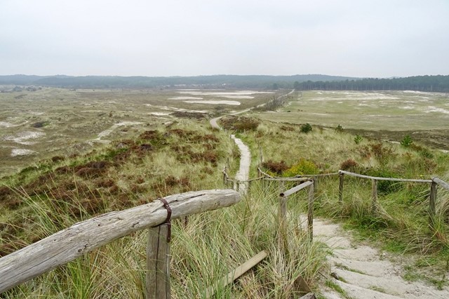 afbeelding van het uitzicht vanaf een hoge trap in de Schoorlse duinen