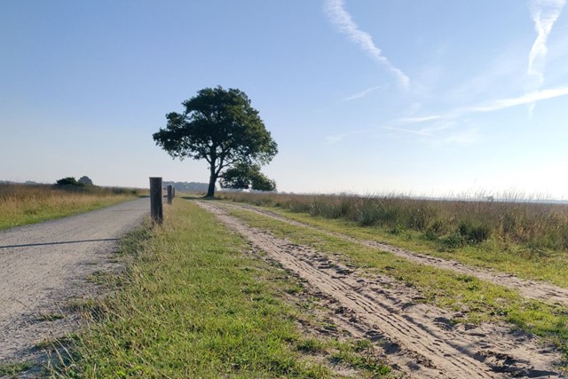 Wandelroute NP Dwingelderveld Jac. P. Thijsse Wandelroute Het Uitgestrekte Veld