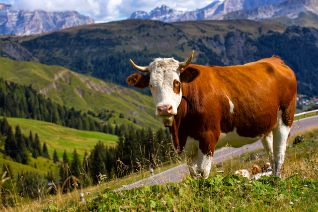 Wandelen In Oostenrijk Tirol