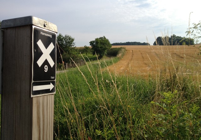 Wandelen in Duitsland: Teutoburgerwoud