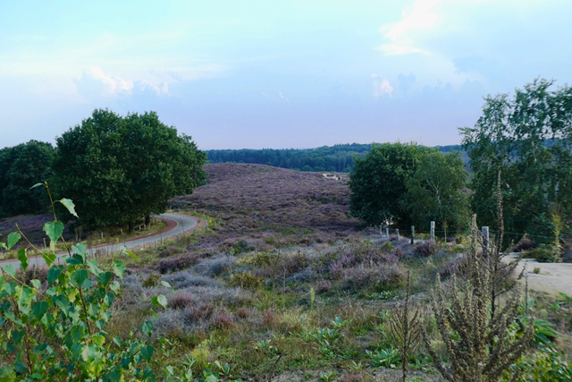 Trage Tocht Posbank Veluwezoom Posbank