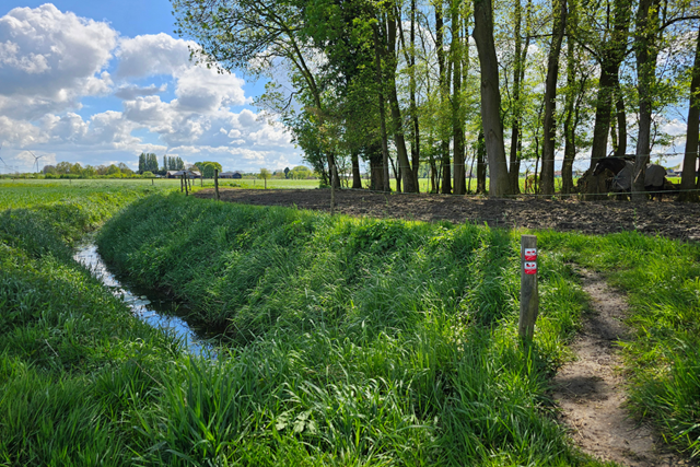 Wandelroute Buitengebied Beuningen En Ewijk Het Doddendaelpad: Route doddendealpad