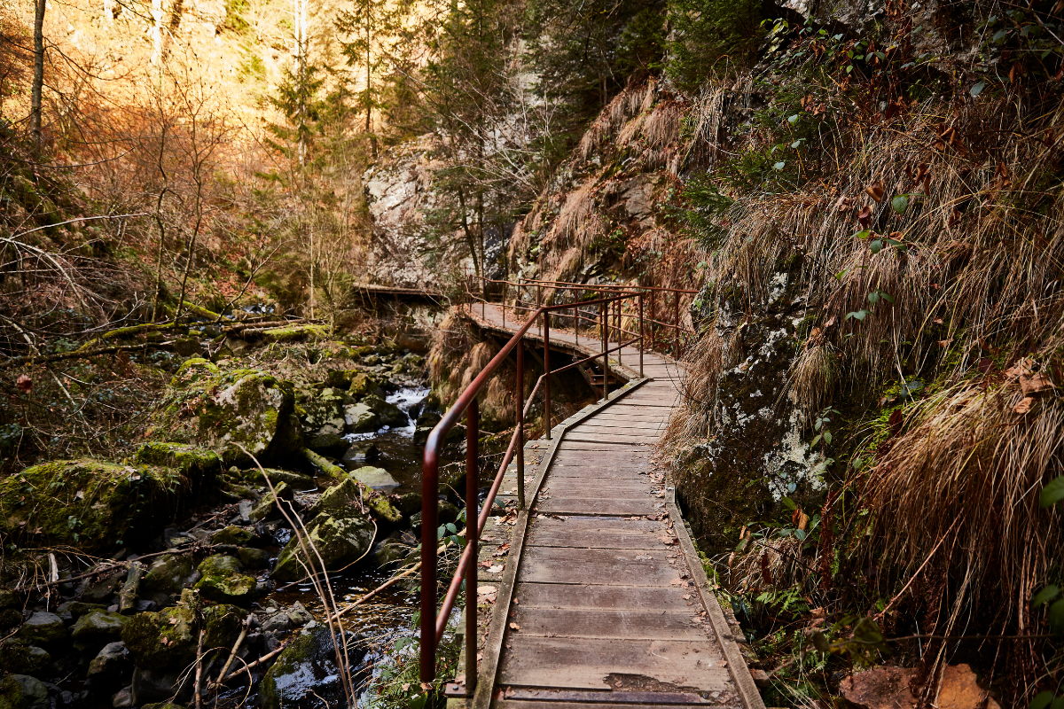 10x Wandelen In Duitsland - Wandel