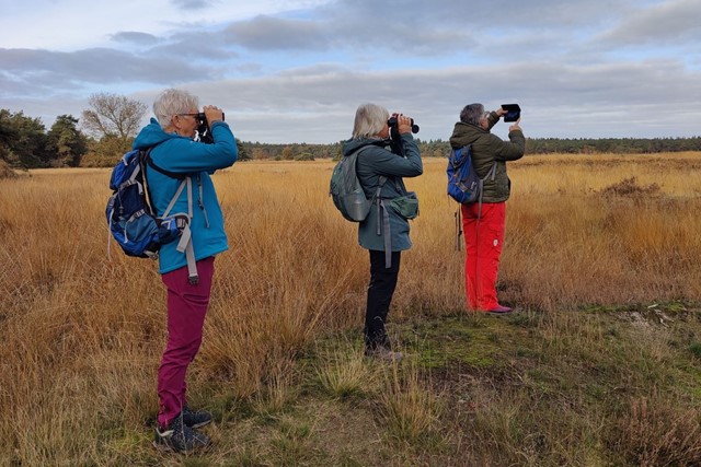 Een wandelreis in Drenthe: genieten van de herfst in optima forma