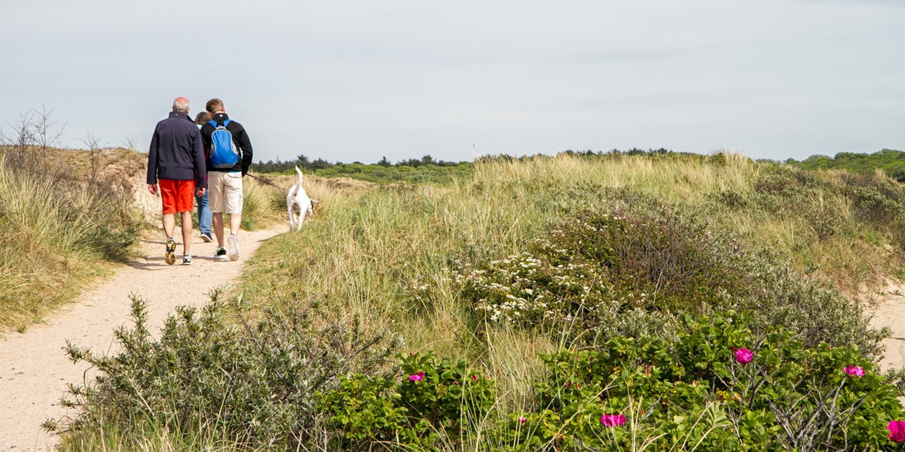 Met de hond wandelen op Texel: in de duinen