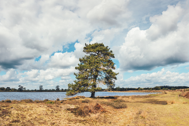 Wandelroute Drenthe Familiepad Drents Friese Natuurspeelplaats