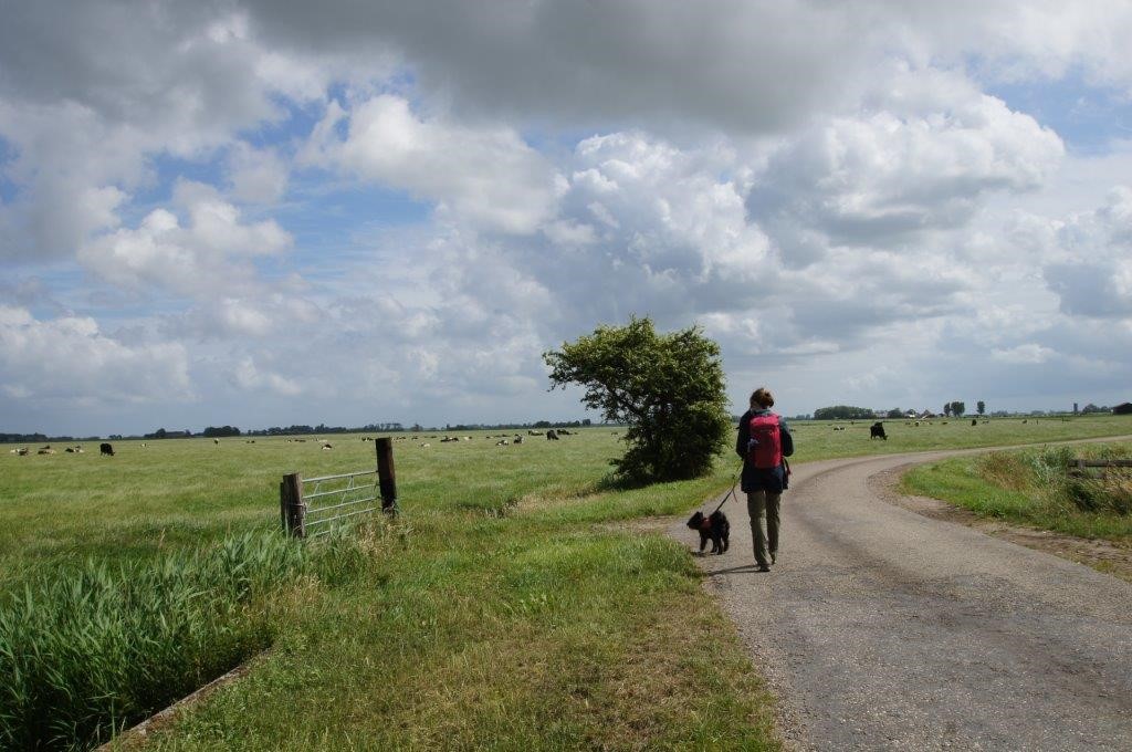 Wandelen In Friesland: Pontje-wandelrondje Kop Bloksleat - Wandel