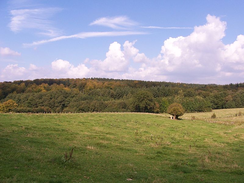 9 Tips Voor Een Wandeling Door Wallonië, België - Wandel