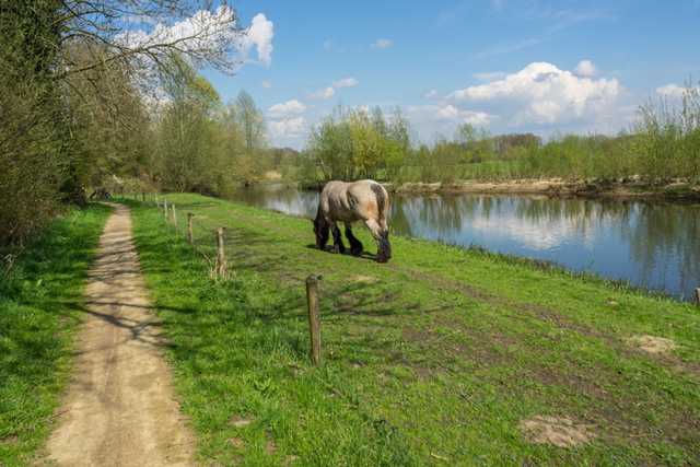 5X Wandelen Langs Rivieren De Berkel