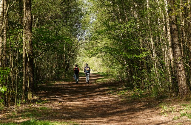 Wandelaars op een bospad