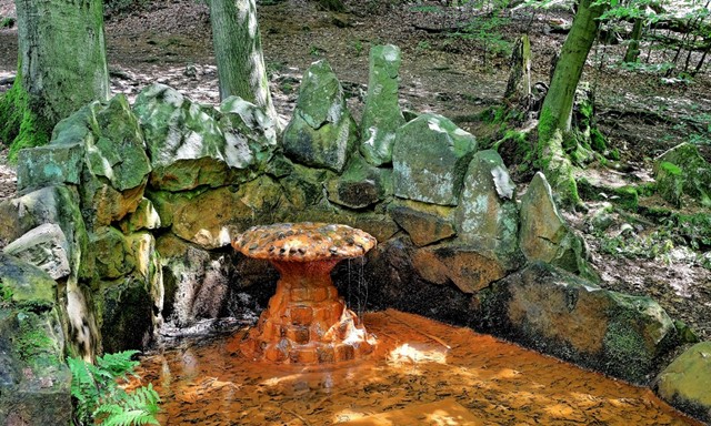 Wandelen in Duitsland: Teutoburgerwoud