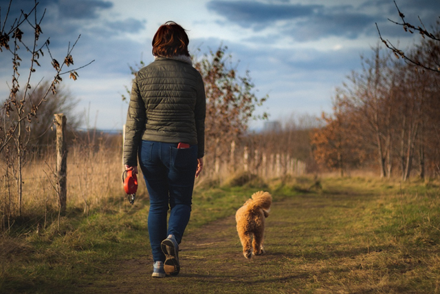 Hoe Maak Je Wandelen Comfortabel Voor De Hond Als Je Langere Afstanden Aflegt: Hond wandeling