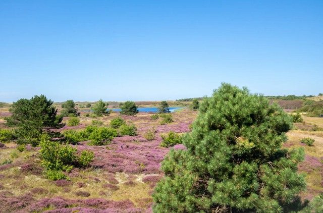 Bleekersvalei Heide