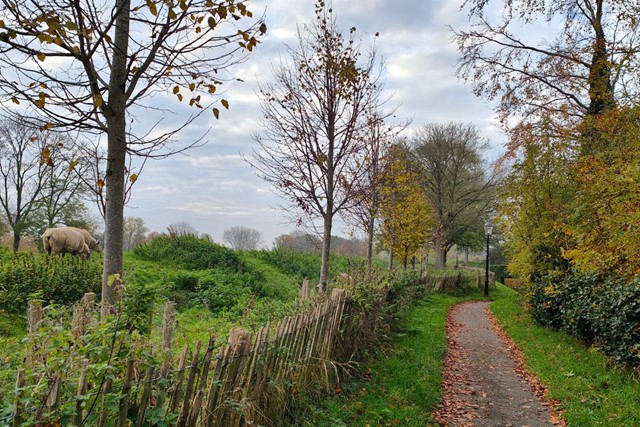 Stadswandeling Woudrichem