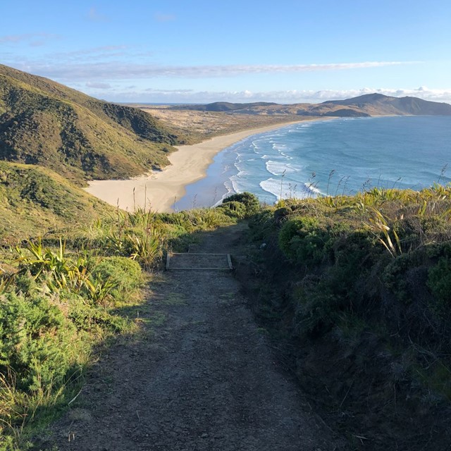 Wandelen aan de andere kant van de wereld: Te Araroa