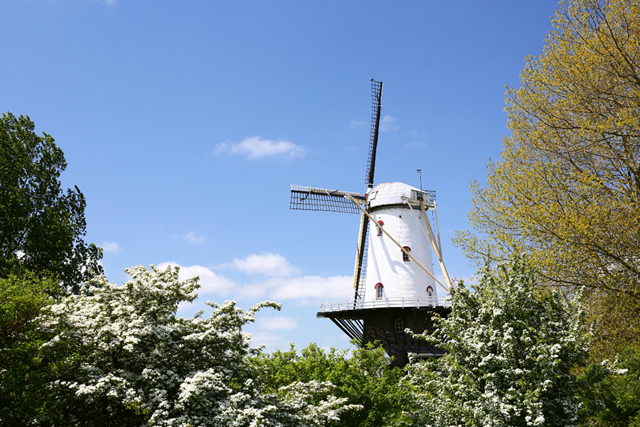 Stadswandeling Veere Historisch Centrum Molen De Koe Een Windmolen Met Een Strategisch