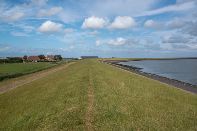 Ongerepte Natuur En Unieke Historie Wandelen Op Terschelling: Dijk Terschelling