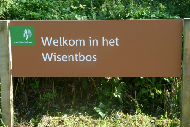 Wandelroute Flevoland Mindervalidepad Wisentbos Het Bostheater