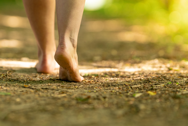 Blotevoetenpad Friesland Drents Friese Wold Meer Informatie