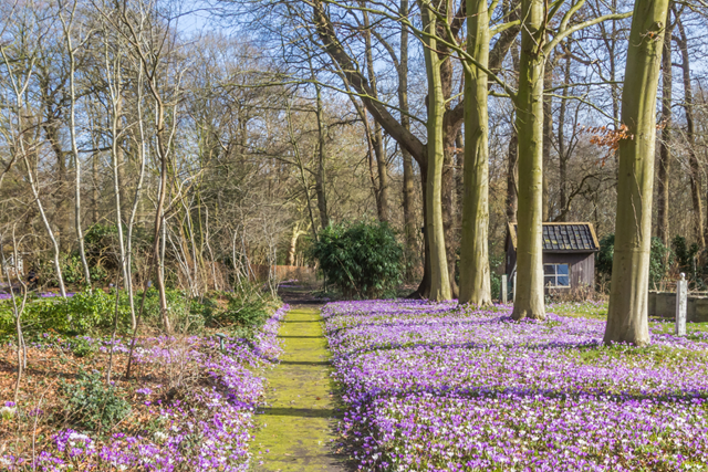 Trage Tocht Assen Landgoed Assen