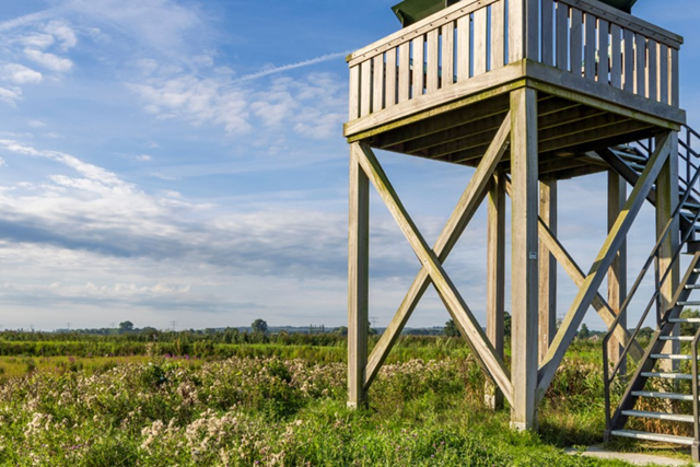 De 10 Mooiste Vlonderpaden In Trage Tocht Bennekom