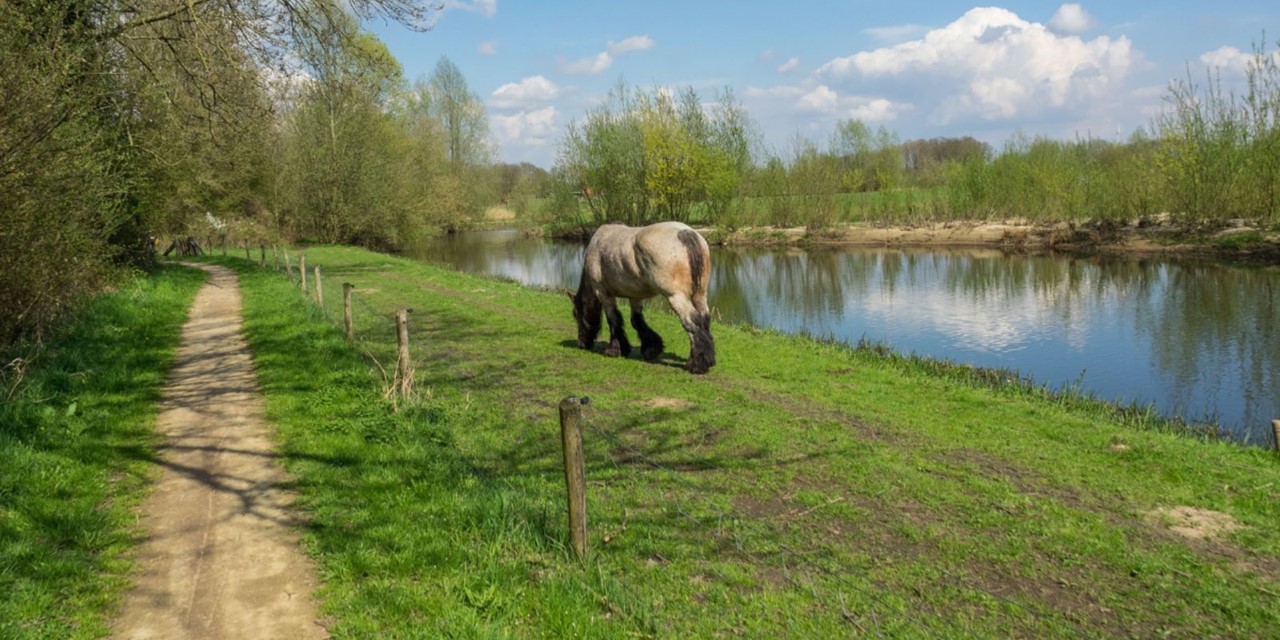 Wandelroutes In Twente 10 Tips