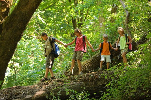 afbeelding van wandelende kinderen in het bos.