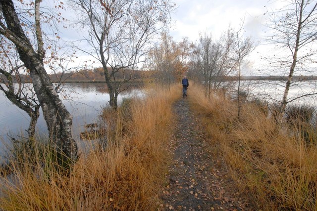 5 x Van Boom tot Bos-wandelingen; De Peel