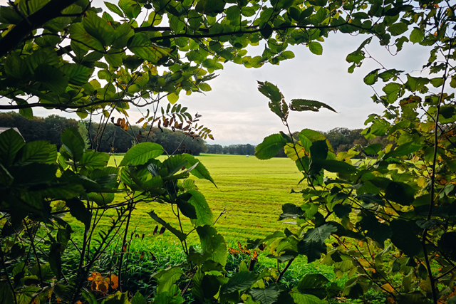 Klompenpad Achterhoek Achterwooldsepad Afwisselend Landschap (1)