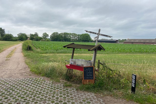 Wandelroute Scholtenpad dagwandeling E