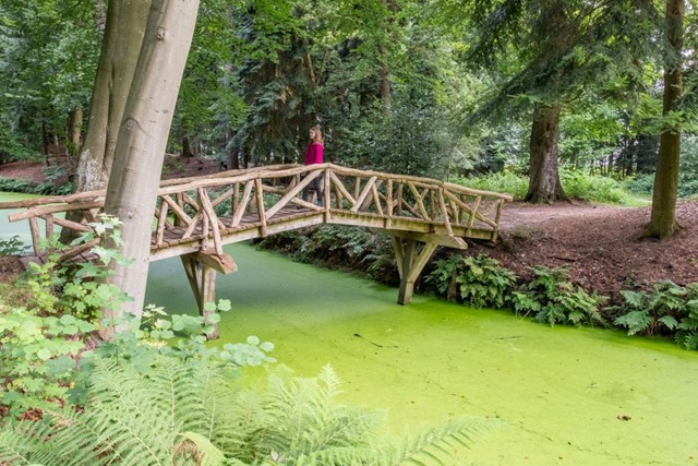 Landgoedwandelingen: Ontdek Landgoed Fraeylemaborg; bruggetje in de Engelse landschapstuin