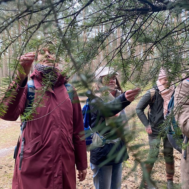 Bosbaden: een trage wandeling die je zintuigen prikkelt; voelen aan de blaadjes