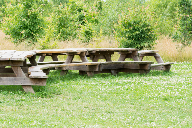 Wandelroute Flevoland Natuurpark Lelystad Picknickplekken En Uitkijkpunten