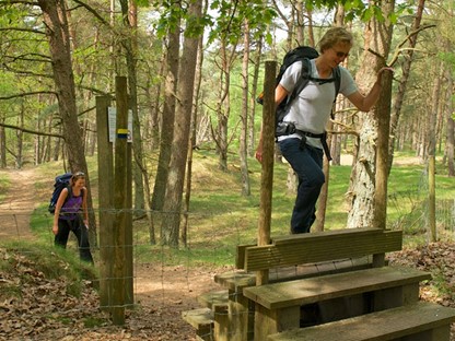 10 wandelroutes op de Utrechtse Heuvelrug