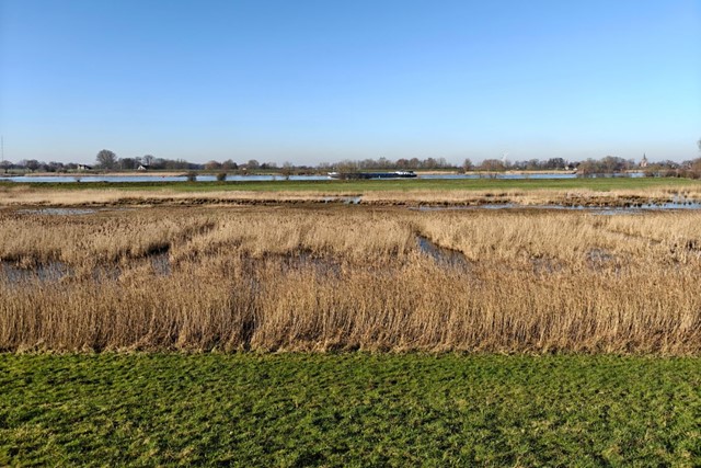 Wandelroute Vijfheerenlanden Tussen Luistenbuul En Zouweboezem Wandelen Langs De Lek