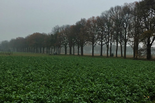 Pieterpad Etappe 6 Schoonloo Zwerfkeien