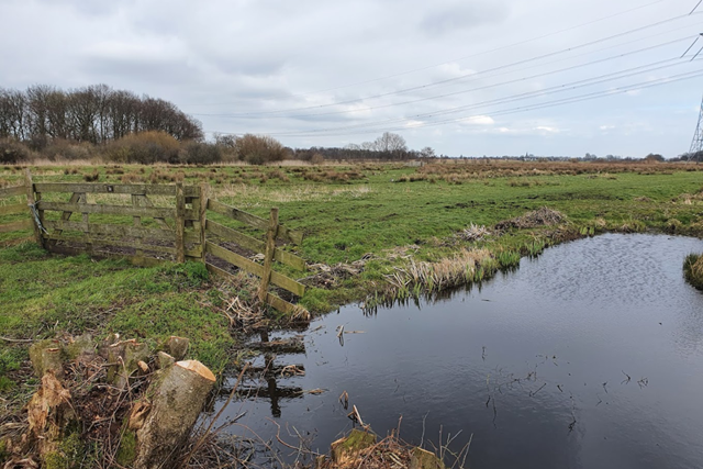 Groene Hartpad Etappe 3 Vlist – Ouderkerk Ad Ijssel Berkenwoudse Driehoek