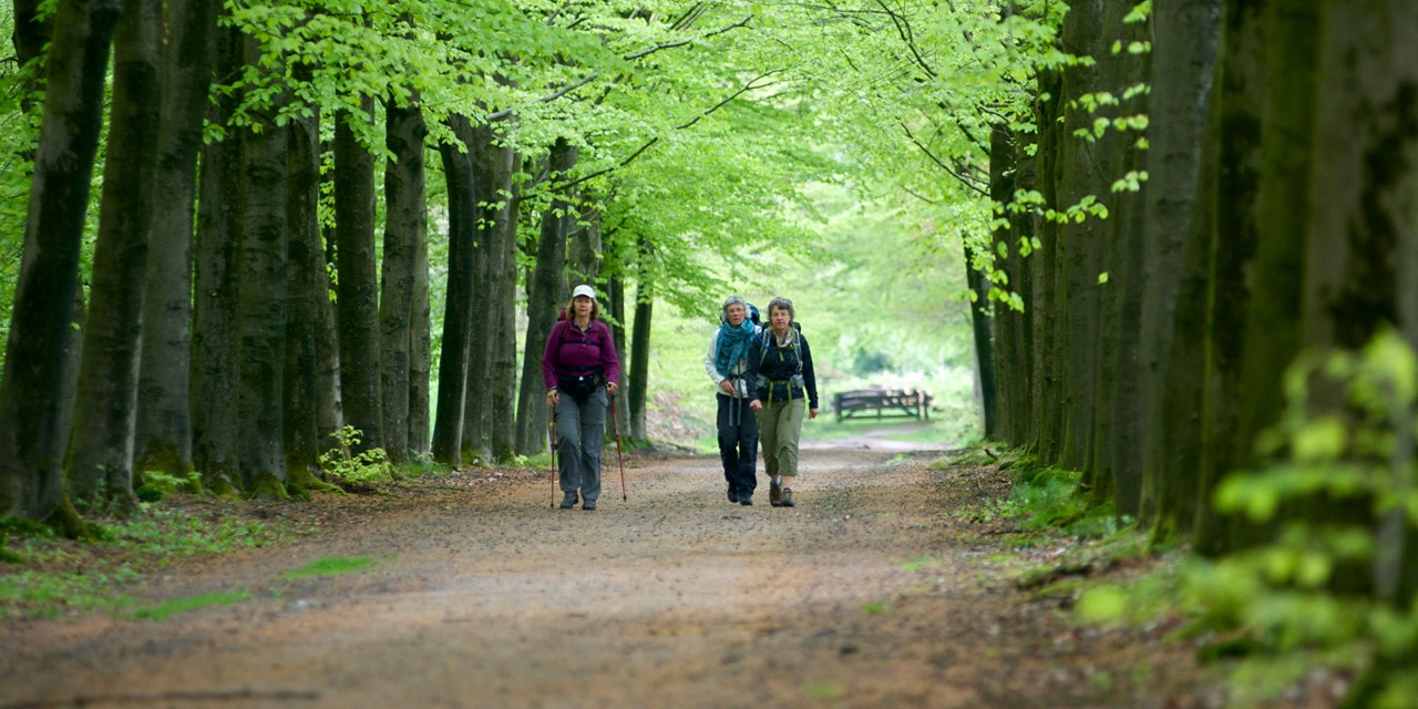 Wandelaars in de omgeving van Lochem