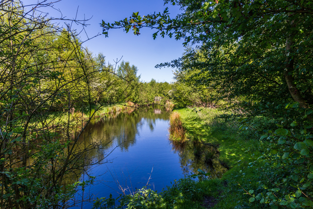 Wandelroute NP De Alde Feanen De Alde Feanen En Het Pontje Hin En Wer