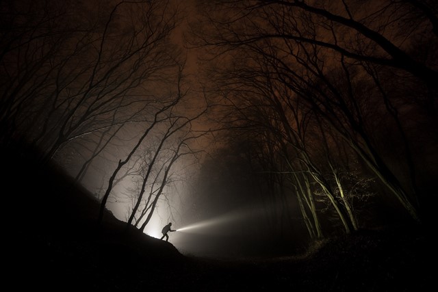 Wandelaar in donker bos met zaklamp
