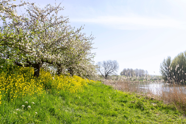 5X Wandelen Langs Rivieren De Linge