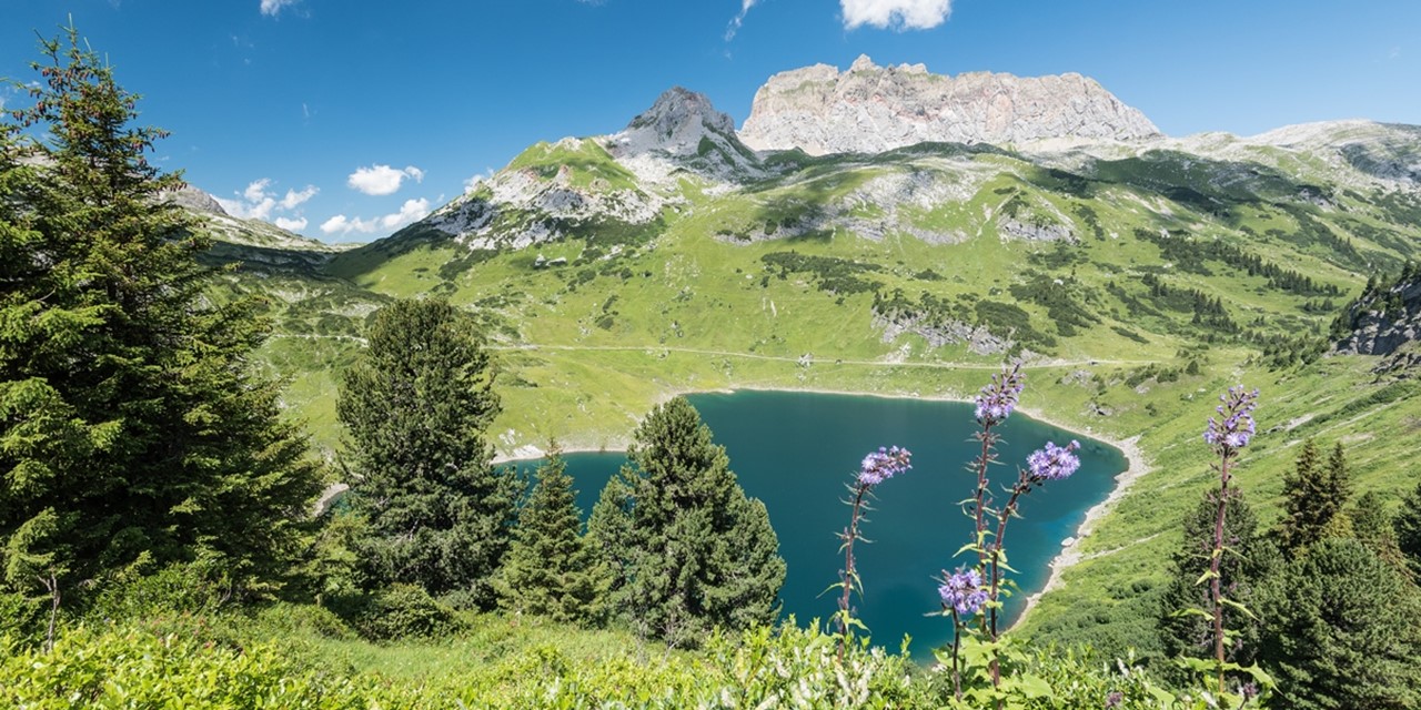 Uitzicht op de bergen van Oostenrijk - Katharina Fiser – Lech Zürs Tourismus