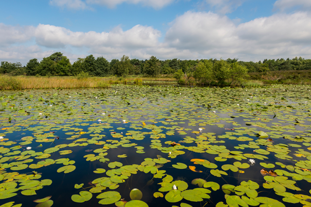 Links En Rechts Van De Peelrandbreuk Etappe 1 Van Vlodrop Naar Boukoul Nationaal Park De Meinweg