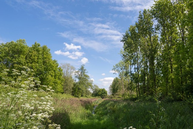 5 x Van Boom tot Bos-wandelingen; Diemerbos