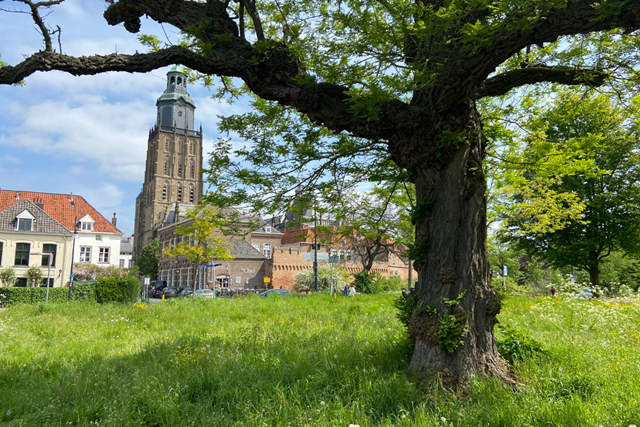 Streekpad Graafschapspad Wandelen Over Landgoederen, Smalle Paadjes Én Langs Kastelen: Zutphen hanzestad