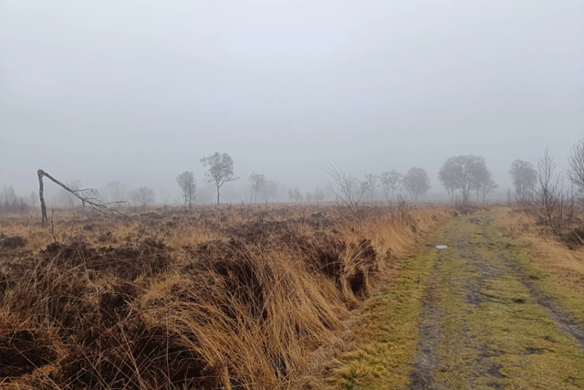 Links En Rechts Van De Peelrandbreuk Etappe 5 Van Liessel Naar Deurne Deurnsche Peel