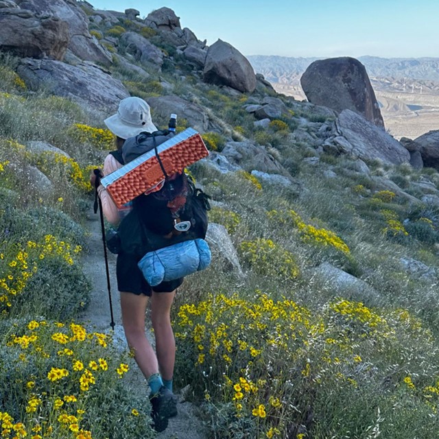 Wandelen aan de andere kant van de wereld: Te Araroa