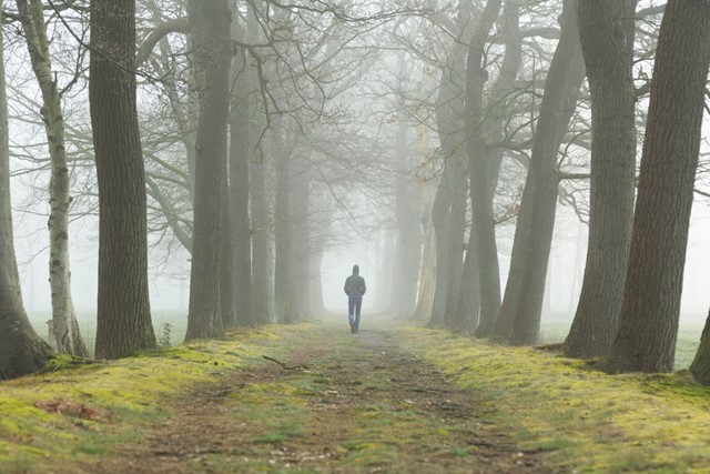 Wandelen Voor Je Brein