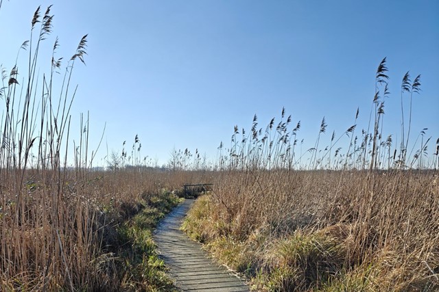 Wandelroute Vijfheerenlanden Tussen Luistenbuul En Zouweboezem Voor De Vogelliefhebbers