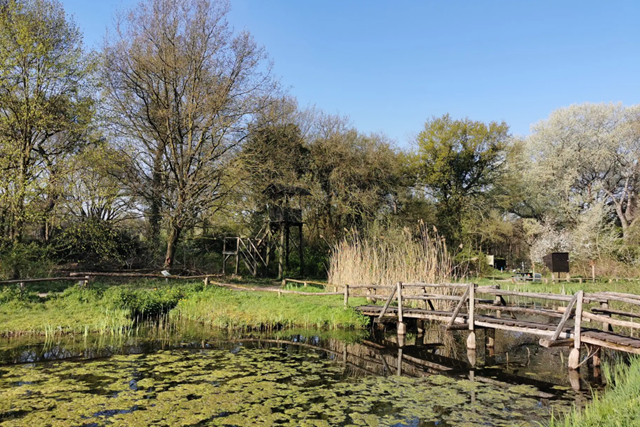 Links En Rechts Van De Peelrandbreuk Etappe 7 Van De Mortel Naar Boekel Natuurcentrum De Perekker